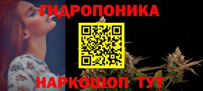 стафф Аша