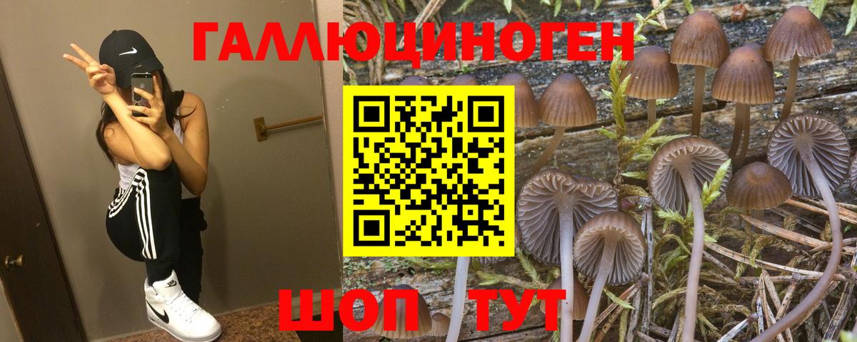 Галлюциногенные грибы MAGIC MUSHROOMS Сухой Лог