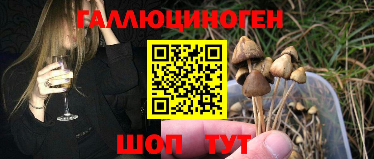 Псилоцибиновые грибы прущие грибы  Галлюциногенные грибы GOLDEN TEACHER  Вход с VPN  Сухой Лог 